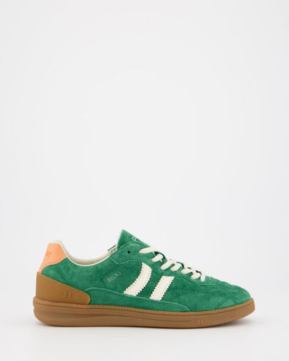 Becks-X Green Oasis